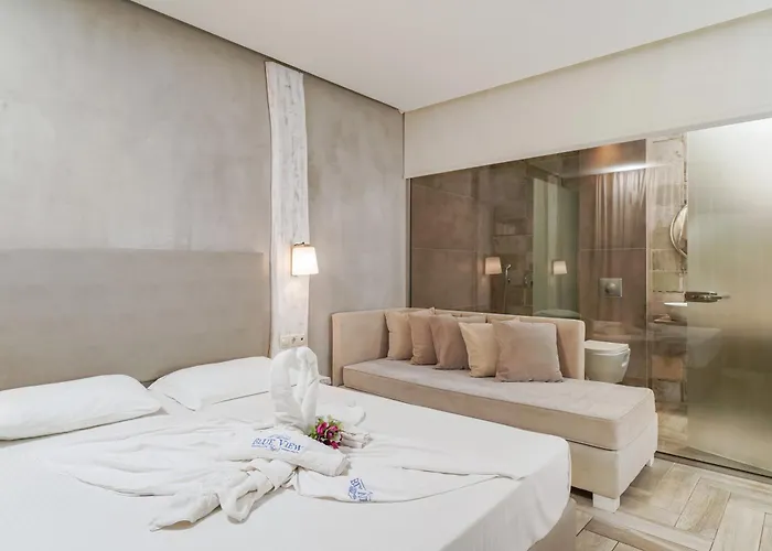 Blue View Bed and breakfast Limenaria (Thasos)